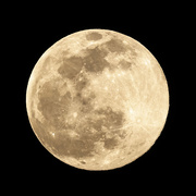8th Feb 2020 - Full Moon - 39/366