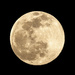 Full Moon - 39/366 by jeffjones