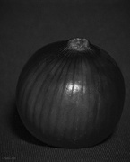 17th Feb 2020 - Red Onion Weston Style