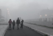 17th Feb 2020 - Foggy morning 