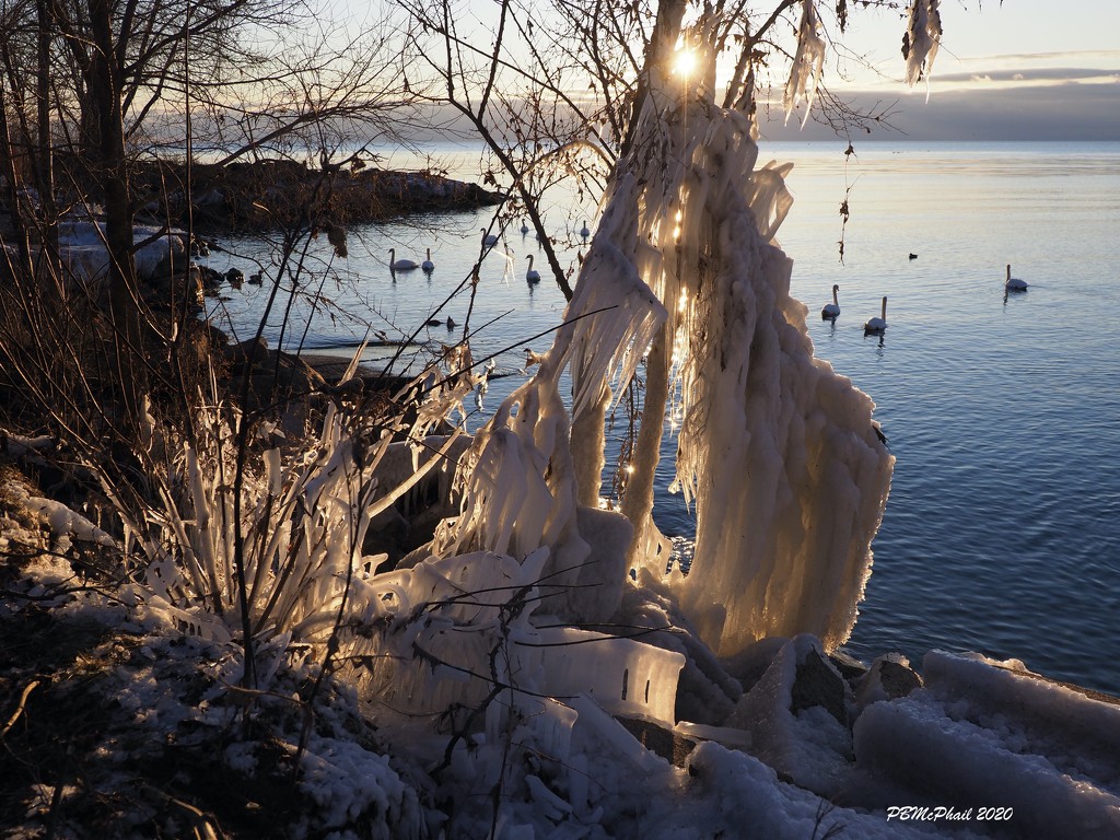 More Ice Sculptures 2 by selkie