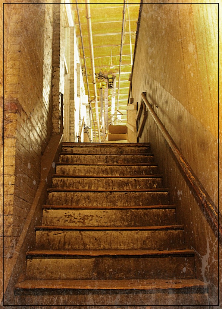 Stairway by olivetreeann