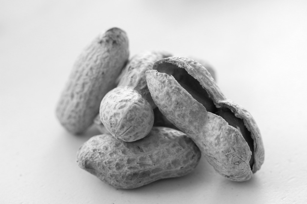 Peanuts by ingrid01