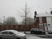 10th Feb 2020 - Snowing