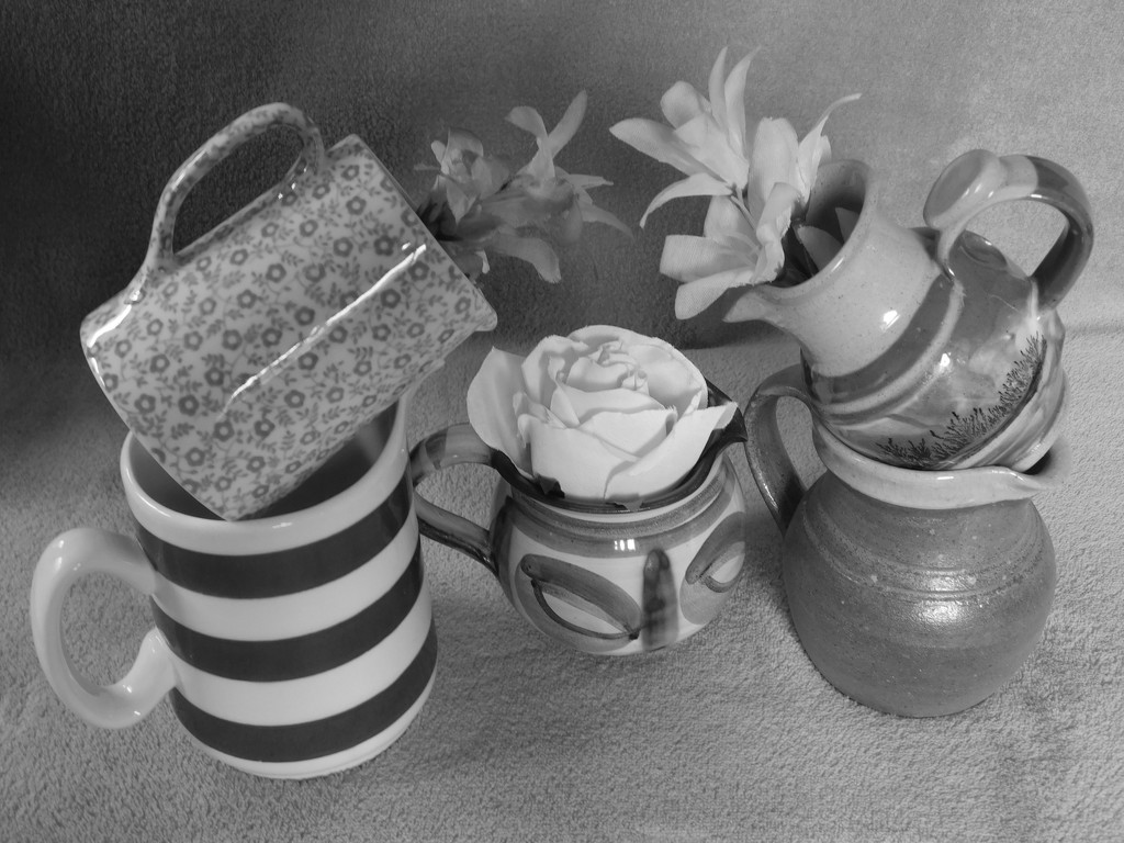 Still Life 2 for FOR2020 Jugs'n'flowers by 365anne