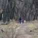 Walking In The Bosque. by bigdad
