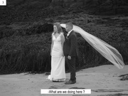 14th Feb 2020 - Wedding or surfing : a hard choice ! (Episode 3/9)