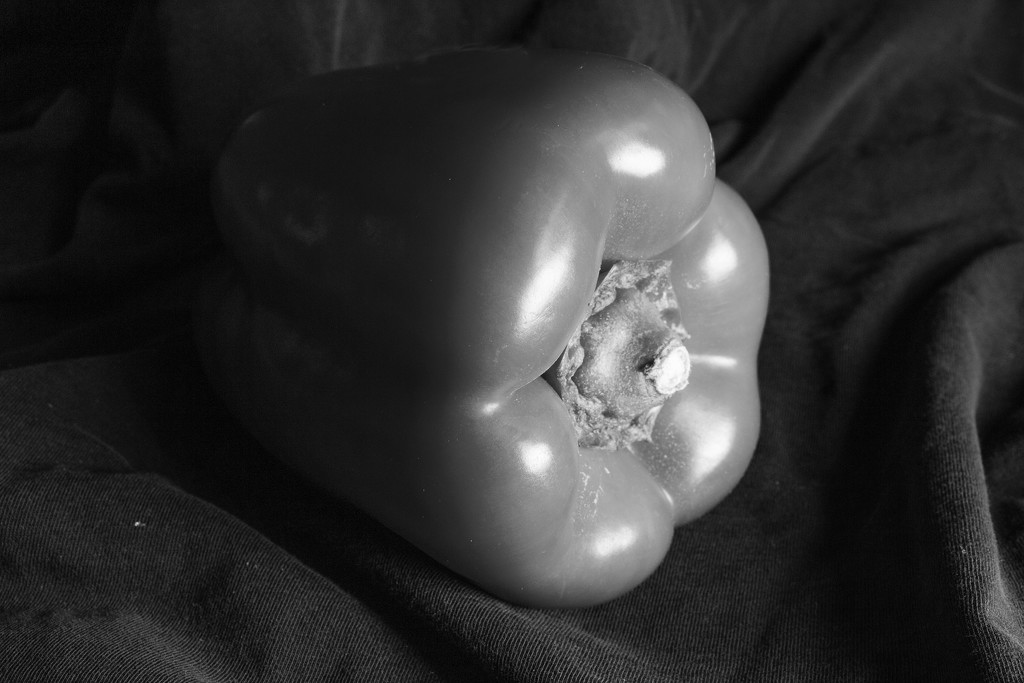 Bell Pepper by tdaug80