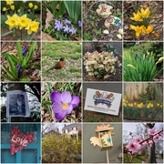 19th Feb 2020 - Signs of Spring