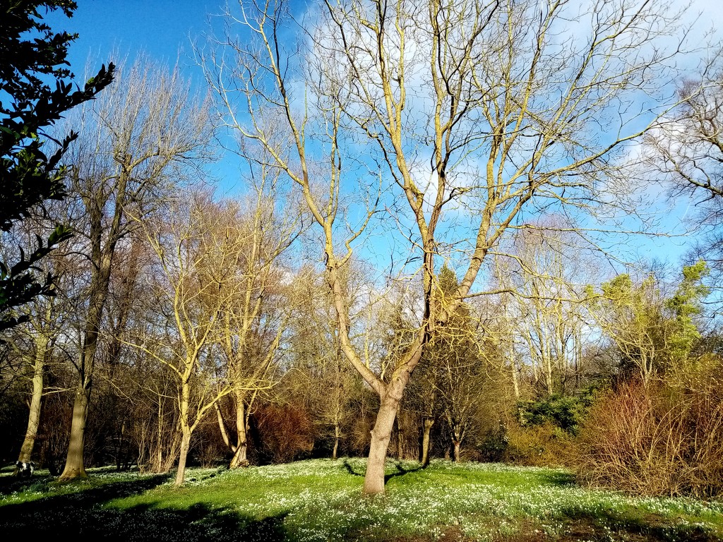 Hare Park, Chippenham near Cambridge  by g3xbm