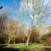 Hare Park, Chippenham near Cambridge  by g3xbm