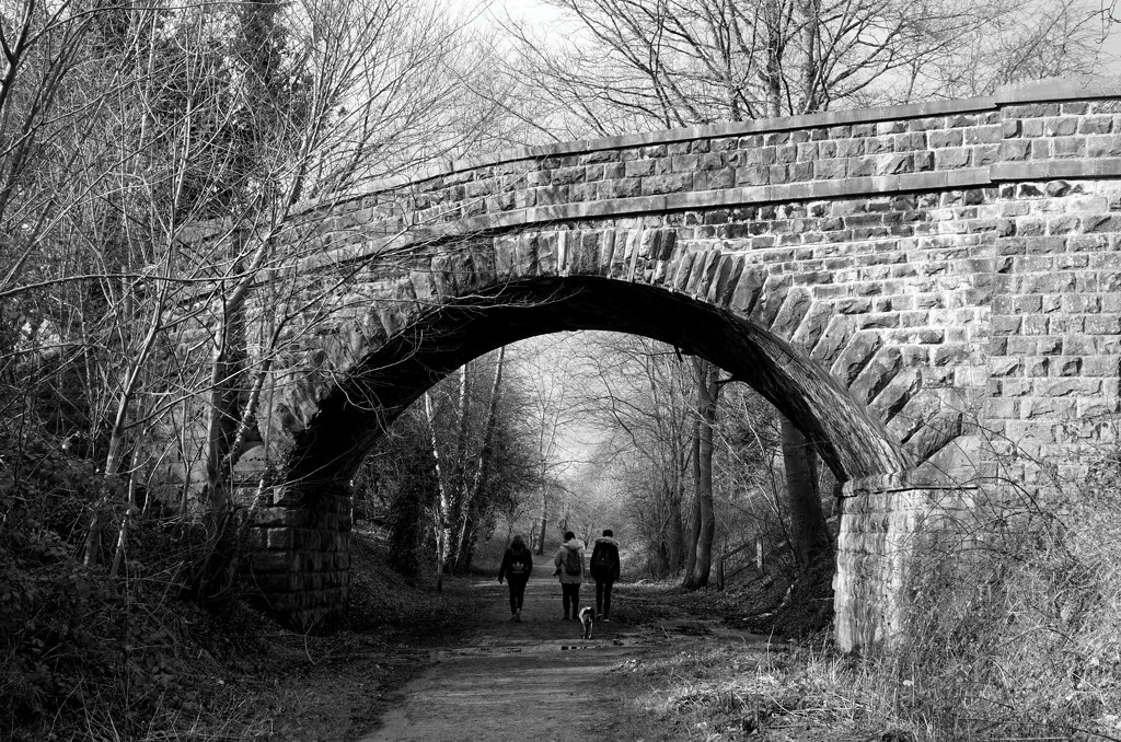 Derbyshire Walk by phil_howcroft