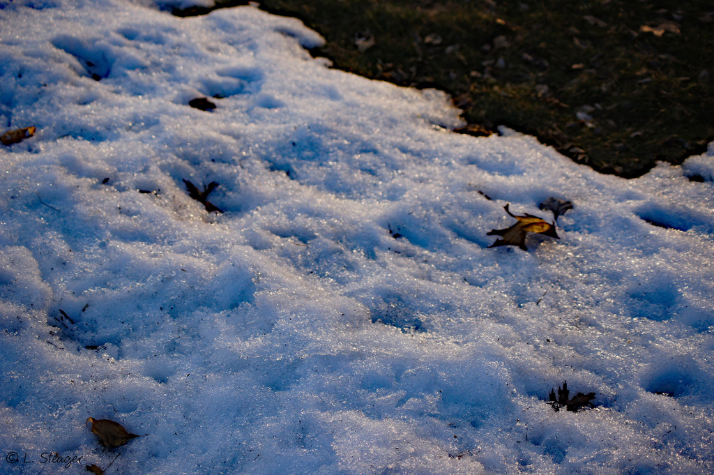 Sun on snow by larrysphotos