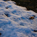 Sun on snow by larrysphotos