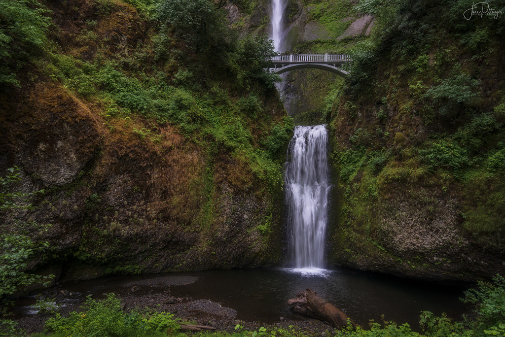 Multnomah Falls by jgpittenger
