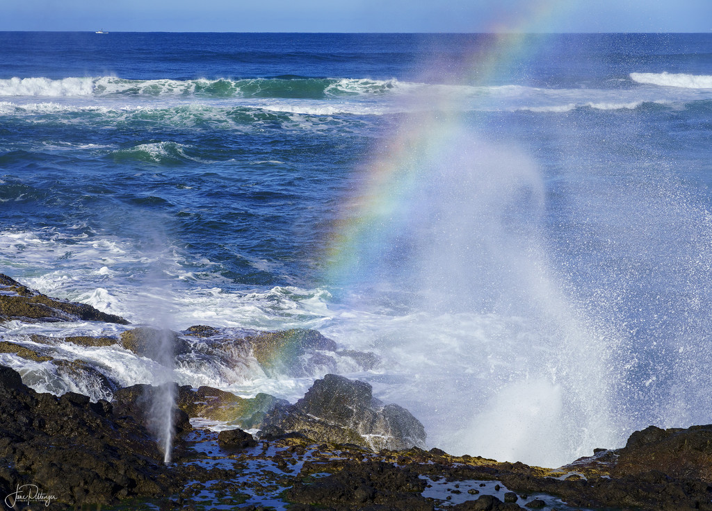 Surf, Spout and Rainbow by jgpittenger