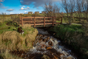 19th Feb 2020 - The Bridge is Drier