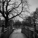 Weston park - Sheffield by isaacsnek