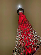 27th Jan 2020 - Sky Tree