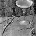 Stillife 5 by momamo