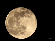 20th Feb 2020 - Full moon