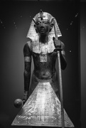 19th Feb 2020 - Tutankhamun's guardian