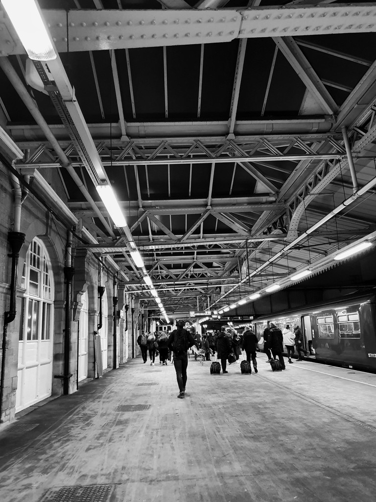 Train life - Sheffield station by isaacsnek