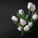 Tulips Again by tina_mac