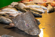 21st Feb 2020 - Naklua Sea Food Market