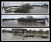 18th Feb 2020 - River Trent Nottingham 3