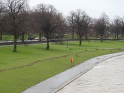 19th Feb 2020 - River Trent Nottingham 5