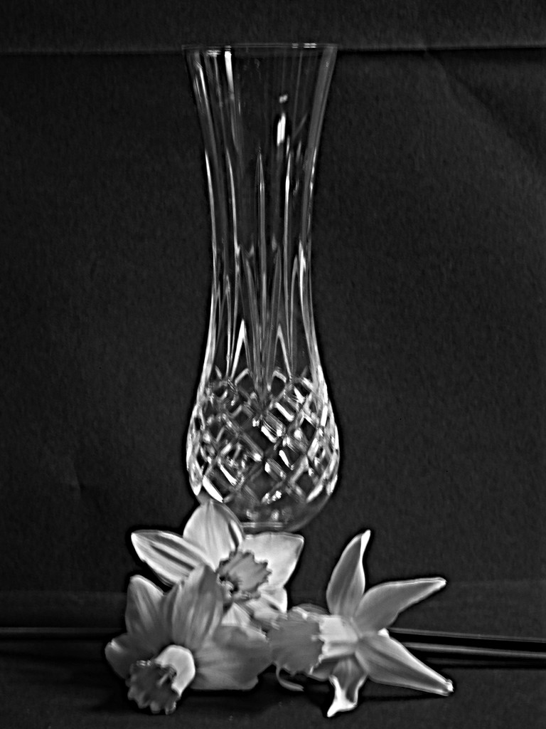 Vase and daffodils for FOR2020 "Still Life" by 365anne