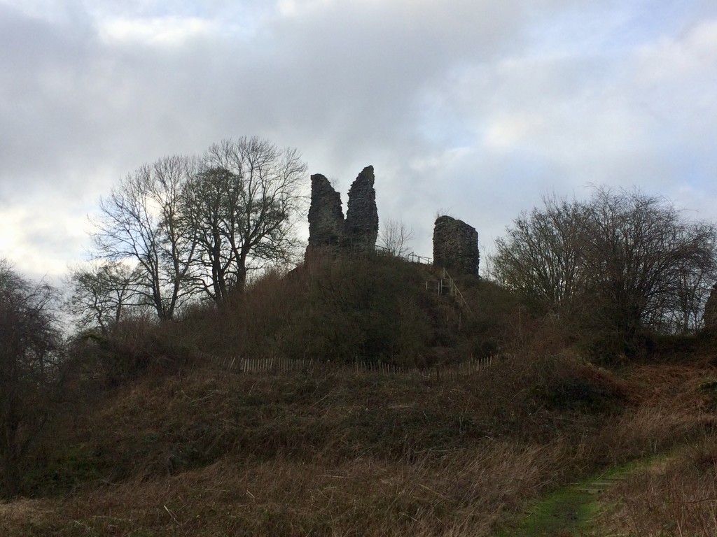 Wigmore castle  by snowy