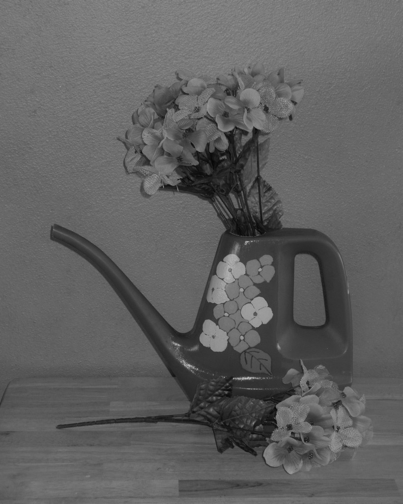 February 21: Watering Can Still Life 2 by daisymiller