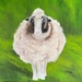 Cream, a sheep from Doolin, Ireland by berelaxed