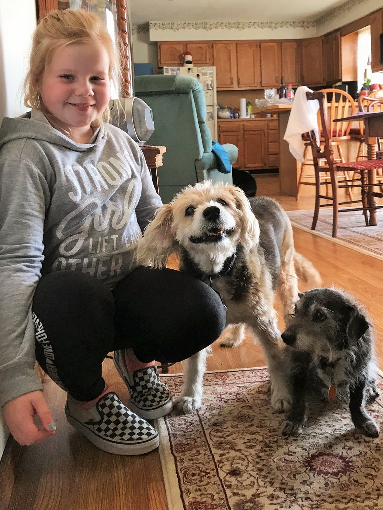 My granddaughter helped with the dog care. by tunia