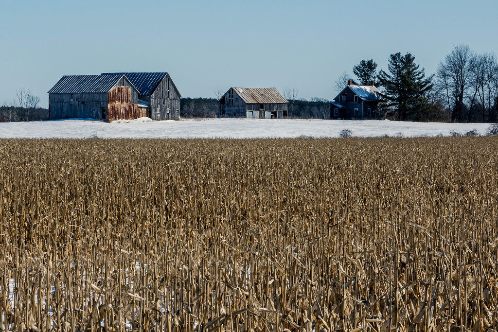 February Words - Landscape  by farmreporter
