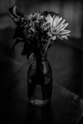 22nd Feb 2020 - Flowers in Vase 