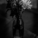 Flowers in Vase  by tosee