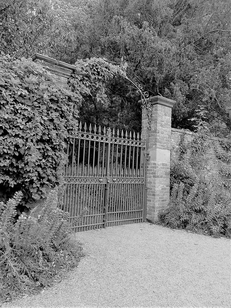 The garden gate  by beryl