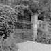 The garden gate  by beryl