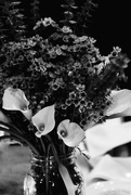 22nd Feb 2020 - Wedding Flowers 