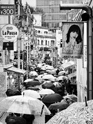 29th Jan 2020 - Umbrellas on Takeshita Doori 