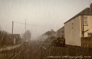 23rd Feb 2020 - Foggy and wet