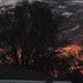 recent Winter Sunrise  by stillmoments33