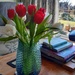 Tulip time  by sarah19