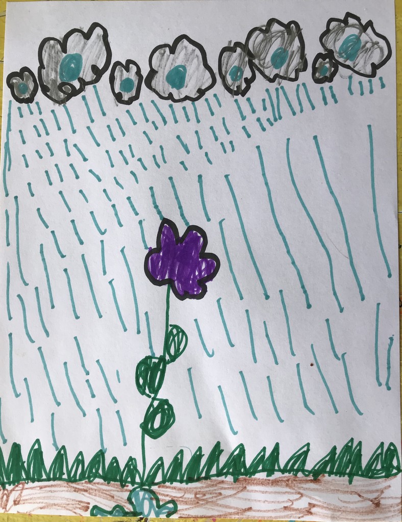 Rain on the purple flower by pandorasecho