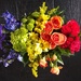 Floral Brilliance by msedillo