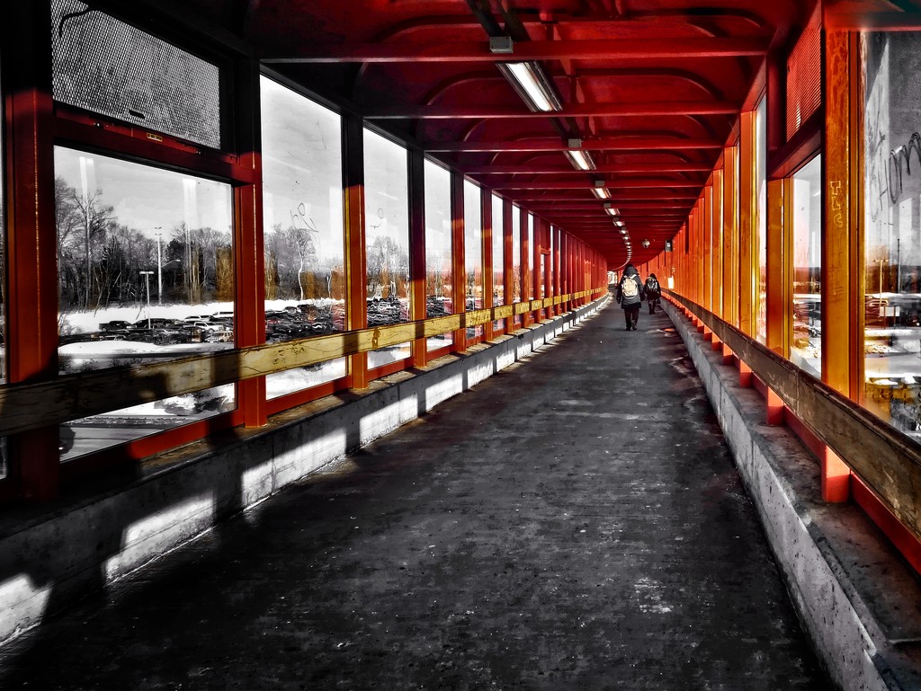 The red walkway by adi314