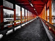 20th Feb 2020 - The red walkway